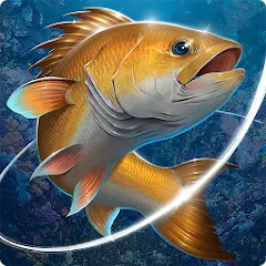 Fishing Hook [MOD: безлимитные деньги и энергия] на Андроид