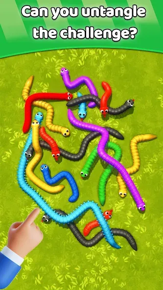 Скачать Tangled Snakes Puzzle Game [MOD: разблокированы все уровни и подсказки] — скриншот 5
