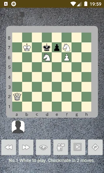 Скачать chess problems [MOD: решены все шахматные задачи] на телефон — скриншот 2