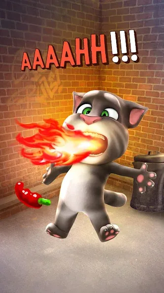 Talking Tom Cat [MOD: много денег и все предметы открыты] последняя версия — скриншот 4