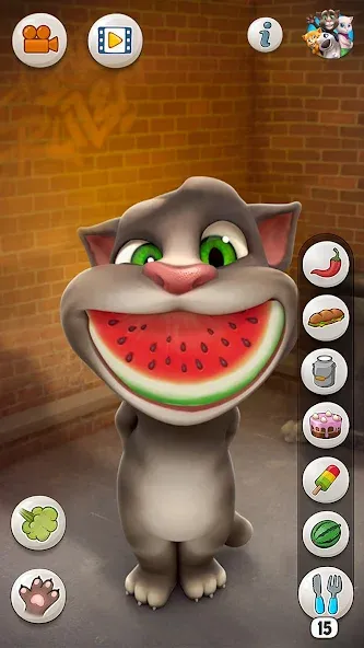 Talking Tom Cat [MOD: много денег и все предметы открыты] последняя версия — скриншот 5