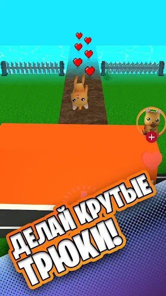 Simbachka Run [MOD: бесконечные монеты и жизни] на Андроид — скриншот 2