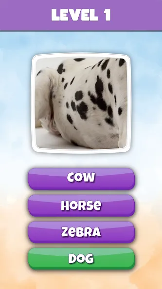 What is it? Pics Trivia Quiz [MOD: открыты все уровни и подсказки] последняя версия — скриншот 2