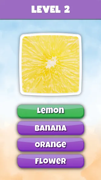 What is it? Pics Trivia Quiz [MOD: открыты все уровни и подсказки] последняя версия — скриншот 3