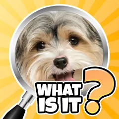 What is it? Pics Trivia Quiz [MOD: открыты все уровни и подсказки] последняя версия