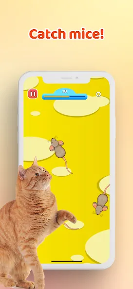 Скачать Games for Cat－Toy Mouse & Fish [MOD: новые игрушки и рыбки] — скриншот 1