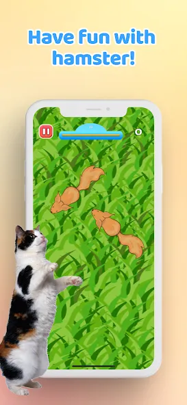 Скачать Games for Cat－Toy Mouse & Fish [MOD: новые игрушки и рыбки] — скриншот 5