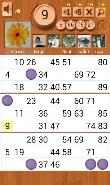 Скачать Loto Online [MOD: без рекламы и много монет] на телефон — скриншот 1