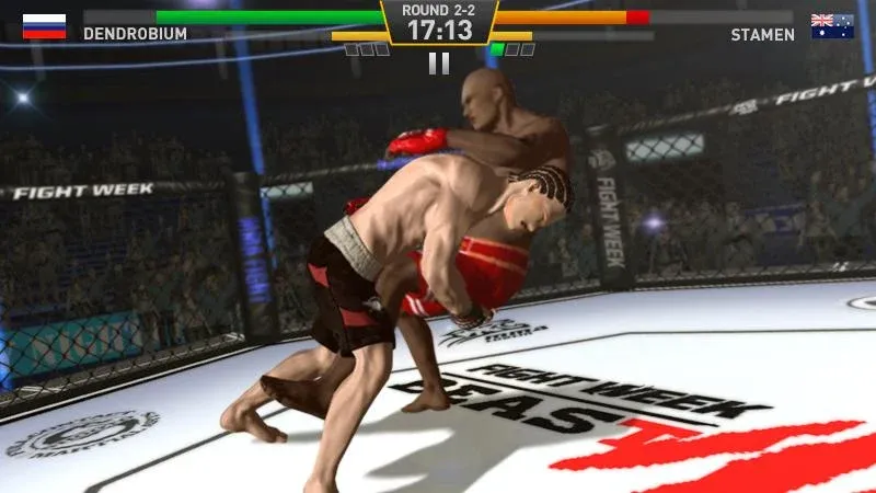 Взломанная Fighting Star [MOD: безлимитные деньги и усиленные бойцы] на Андроид — скриншот 4