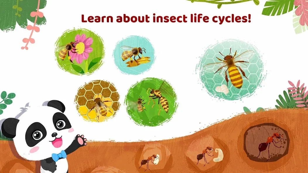 Скачать взлом Little Panda's Insect World [MOD: все насекомые разблокированы] — скриншот 4