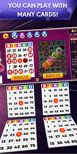 Bingo - Offline Bingo Game [MOD: безлимитные монеты и бонусы] на Андроид — скриншот 1