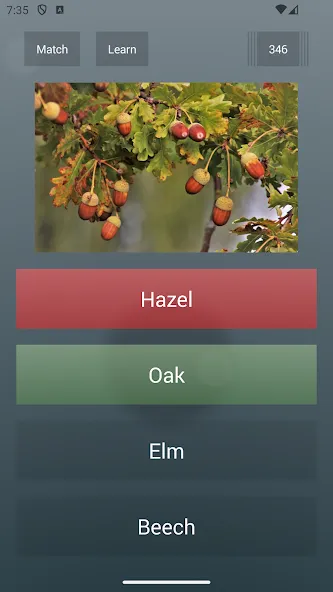 Скачать General Knowledge Quiz [MOD: безлимитные подсказки и открыты все вопросы] — скриншот 2