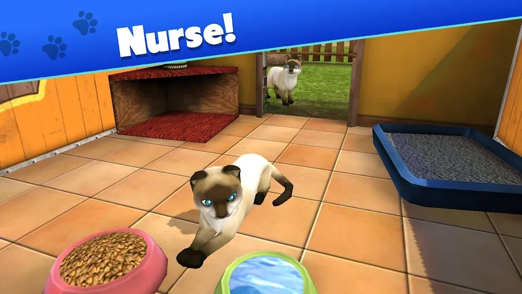 Взломанная Pet World - My Animal Shelter [MOD: безлимитные деньги и ресурсы] на Андроид — скриншот 3