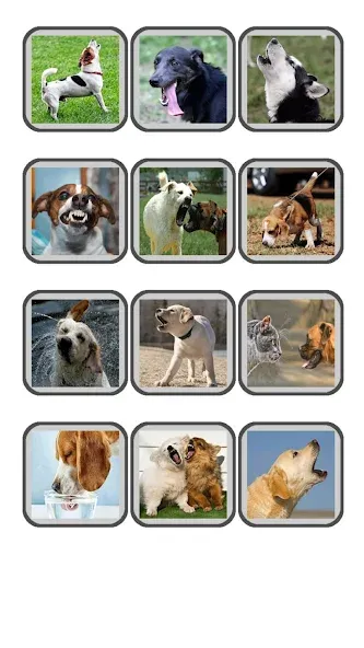 Взломанная Dog Translator: Bark to Human [MOD: переводчик без ограничений и рекламы] на Андроид — скриншот 5