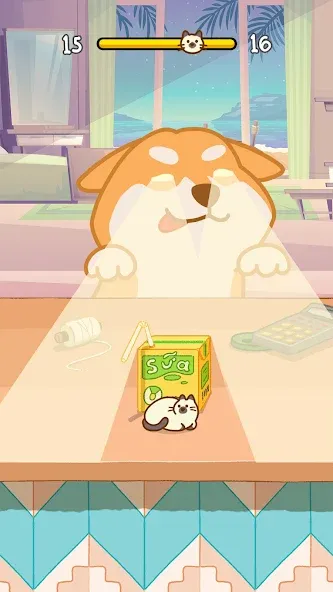 Hide And Seek: Cute Cat Escape [MOD: милые котики и лёгкий побег] — Скачать бесплатно (APK) — скриншот 3