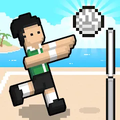 Скачать взлом Volley Random [MOD: разблокированы все мячи и режимы]