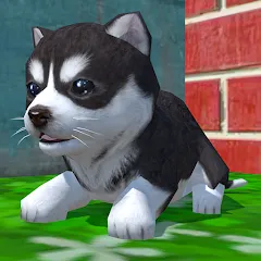 Cute Pocket Puppy 3D [MOD: много денег и все питомцы] — Скачать бесплатно (APK)