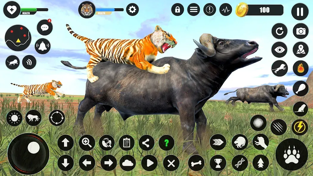Скачать взлом Tiger Simulator Animal Games [MOD: безлимитные монеты и энергия] — скриншот 4