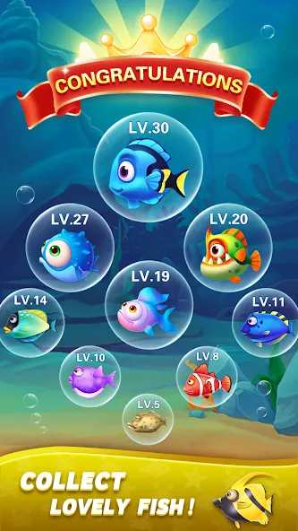 Block Ocean 1010 Puzzle Games [MOD: без рекламы и бесконечные подсказки] на Андроид — скриншот 5