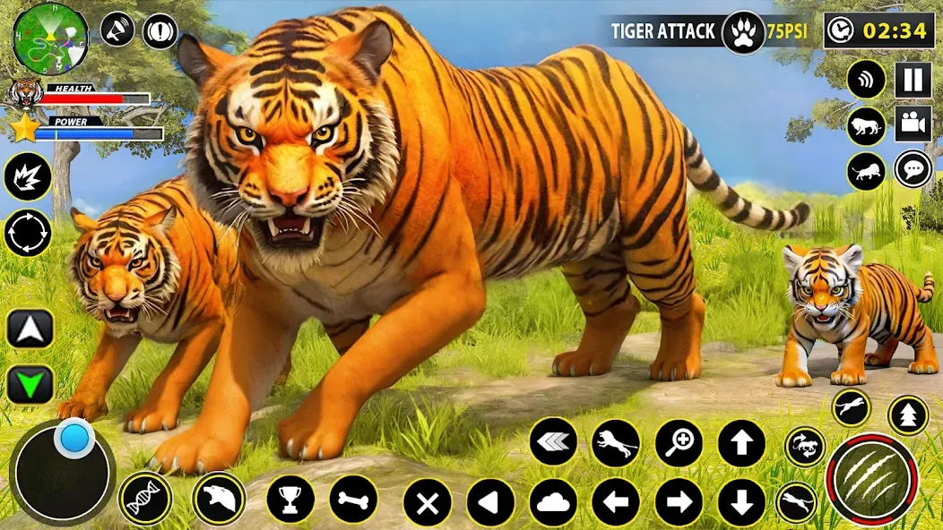 Скачать Tiger Simulator Lion games 3D [MOD: безлимитные деньги и энергия] на телефон — скриншот 1