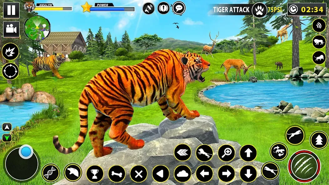 Скачать Tiger Simulator Lion games 3D [MOD: безлимитные деньги и энергия] на телефон — скриншот 4