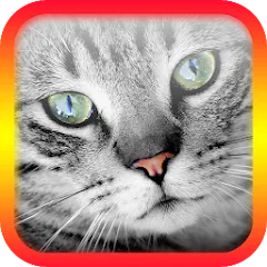 Translator for Cats Prank [MOD: переводчик кошачьих звуков без ограничений] последняя версия