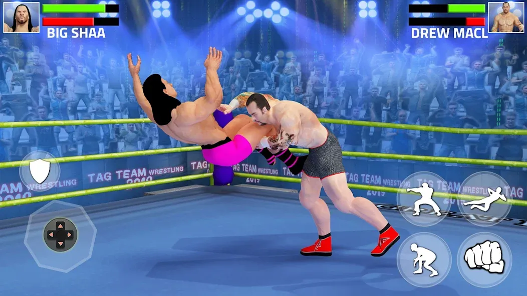 Tag Team Wrestling Game [MOD: без рекламы и много денег] на Андроид — скриншот 5