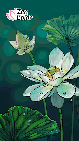 Zen Color - Color By Number [MOD: без рекламы и всё открыто] — Скачать бесплатно (APK) — скриншот 1