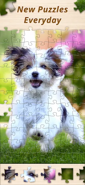Jigsaw Premium Puzzles HD [MOD: премиум функции и все пазлы открыты] — Скачать бесплатно (APK) — скриншот 5