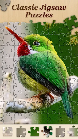Скачать взлом Jigsawscapes® - Jigsaw Puzzles [MOD: без рекламы и все пазлы открыты] — скриншот 2