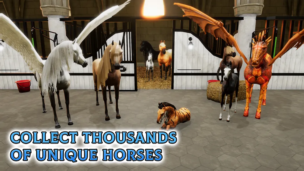 Скачать Horse Academy - Equestrian MMO [MOD: бесконечные деньги и редкие лошади] — скриншот 5