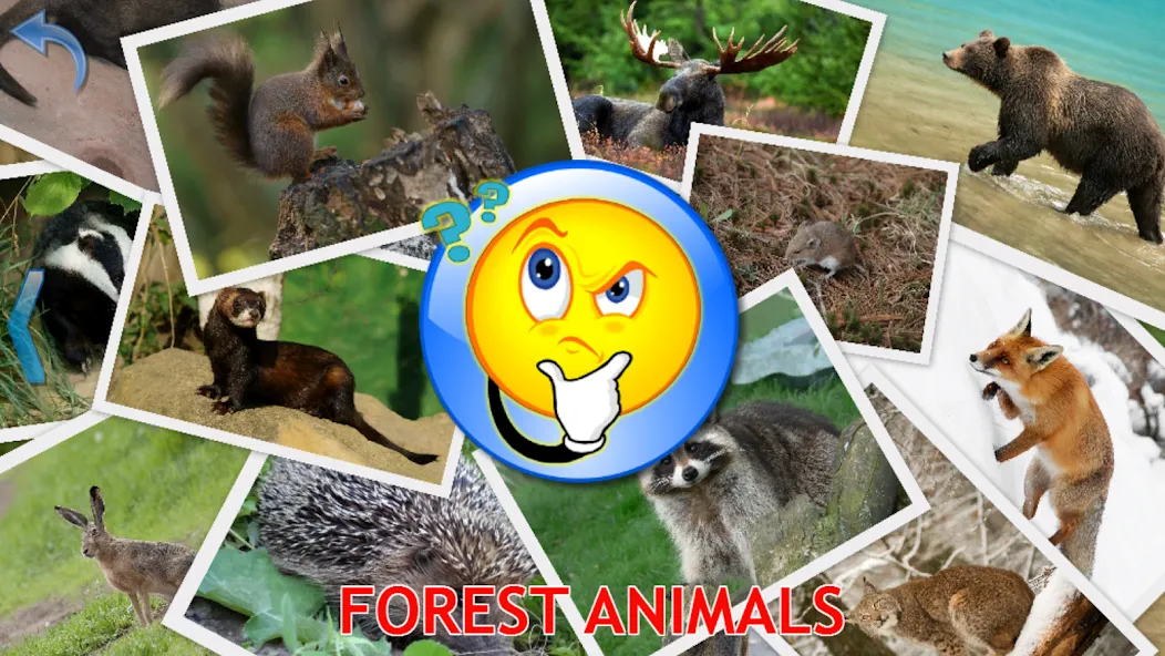 Animals for Kids [MOD: все животные разблокированы и без рекламы] (Бесплатно / APK) — скриншот 5