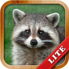 Animals for Kids [MOD: все животные разблокированы и без рекламы] (Бесплатно / APK)