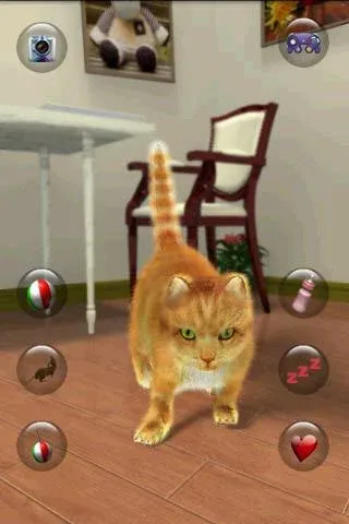 Talking Lovely Cat [MOD: безлимитные монеты и наряды] последняя версия — скриншот 1