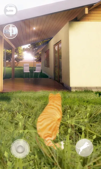 Talking Lovely Cat [MOD: безлимитные монеты и наряды] последняя версия — скриншот 2