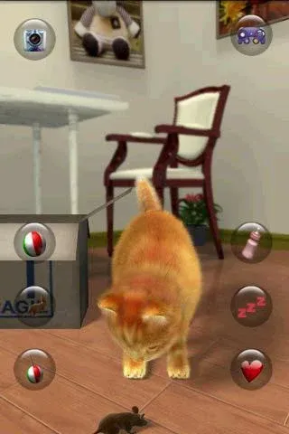Talking Lovely Cat [MOD: безлимитные монеты и наряды] последняя версия — скриншот 3
