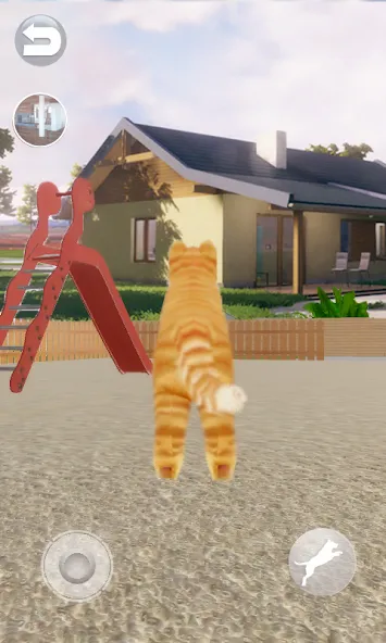 Talking Lovely Cat [MOD: безлимитные монеты и наряды] последняя версия — скриншот 4