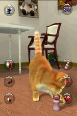 Talking Lovely Cat [MOD: безлимитные монеты и наряды] последняя версия — скриншот 5